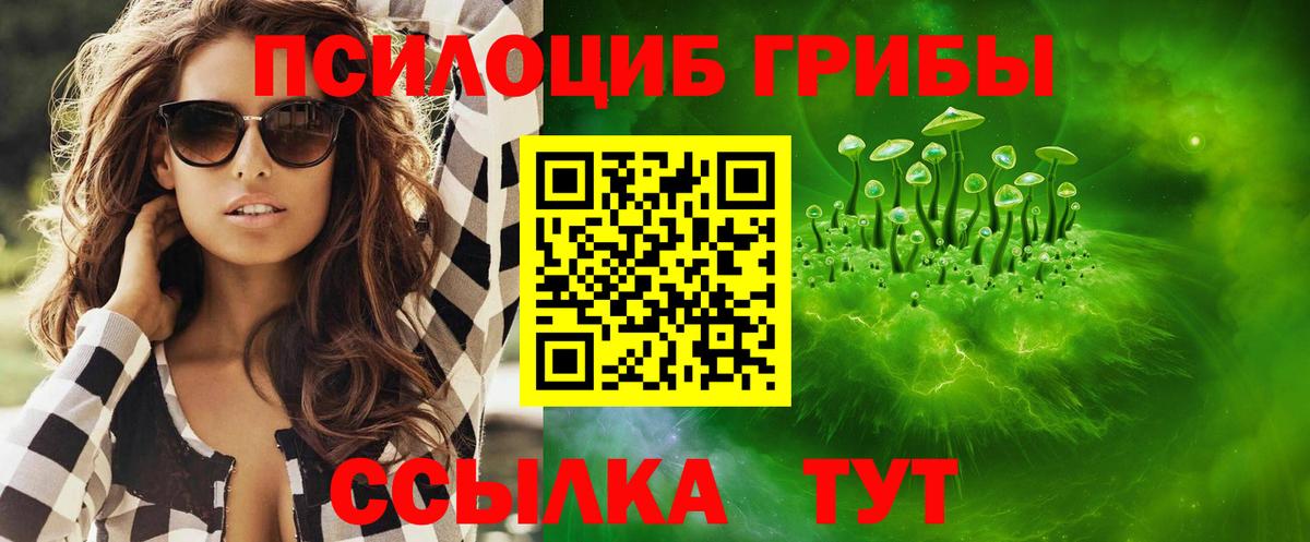 Грозный  Псилоцибиновые грибы мицелий  Вход с VPN 