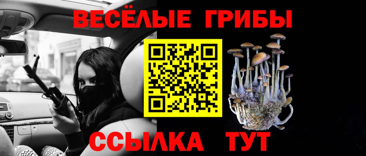 Псилоцибиновые грибы мицелий Грозный